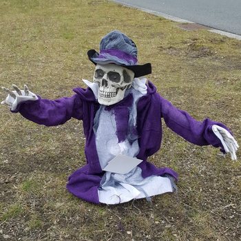 BAISUS SKELETAS, KYLANTIS I&Scaron; KAPO SU &Scaron;VIESA IR GARSU
