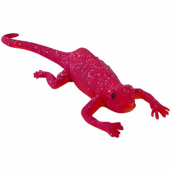Spalvą Keičiantys Chameleonai Ekspozicijoje (48 vnt.)
