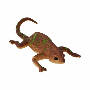 Spalvą Keičiantys Chameleonai Ekspozicijoje (48 vnt.)