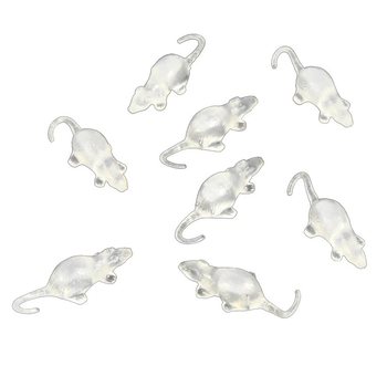 8 SKAIDRIOS PELĖS TINKLELYJE (12 tinklelių)