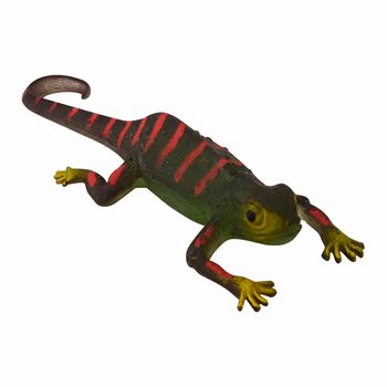 Spalvą Keičiantys Chameleonai Ekspozicijoje (48 vnt.)