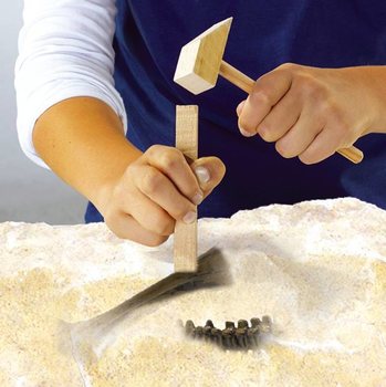 SES Explore T-Rex archeologinis rinkinys (1 vnt.)