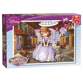 JUMBO DISNEY DĖLIONĖ SOFIJA PIRMOJI BIBLIOTEKOJE 20 DETALIŲ (5vnt.)