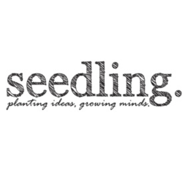 Seedling žaislai