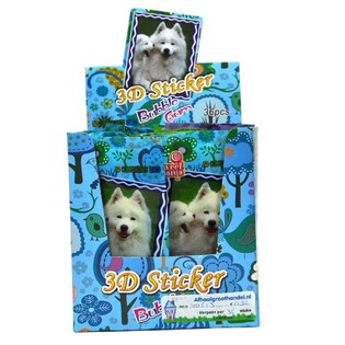 3D lipdukai su kramtomąja guma (36 vnt.)