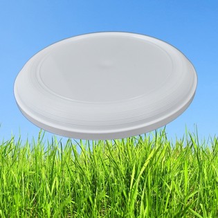 STANDARTINIS FRISBIS 21 CM (25 vnt.)