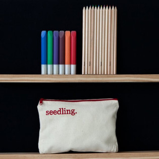 SEEDLING - SUKURK SAVO PIE&Scaron;TUKINĘ (1 vnt.)