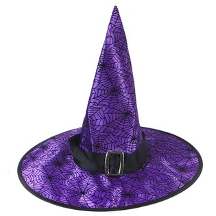 VIOLETINĖ RAGANOS KEPURĖ SU SAGTIMI (6 vnt.)