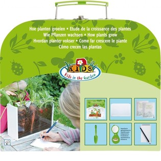 ***BESTSELLER*** LAUKO RINKINYS: KAIP AUGA AUGALAI