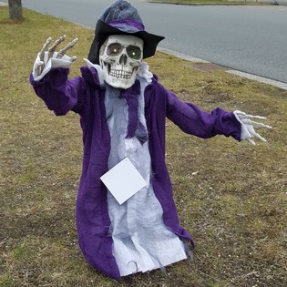 BAISUS SKELETAS, KYLANTIS I&Scaron; KAPO SU &Scaron;VIESA IR GARSU