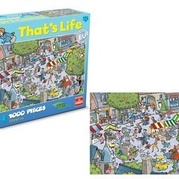 &bdquo;That&rsquo;s Life&ldquo; dėlionė - Village, 1000 detalių (1 vnt.)