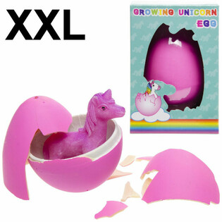 XXL Augantis vienaragio kiau&scaron;inis (6 vnt.)