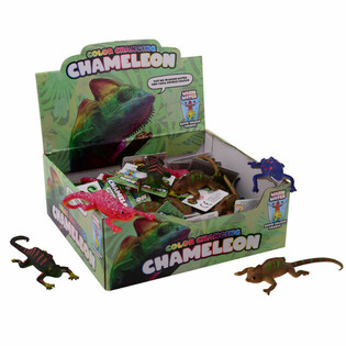 Spalvą Keičiantys Chameleonai Ekspozicijoje (48 vnt.)