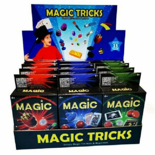 MAGIJOS TRIUKŲ RINKINYS EKSPOZICIJOJE (12 vnt.)
