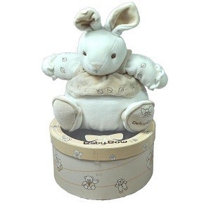 PLIU&Scaron;INIS ŽAISLAS DOVANŲ DĖŽUTĖJE BABY BOW - 8 MODELIS